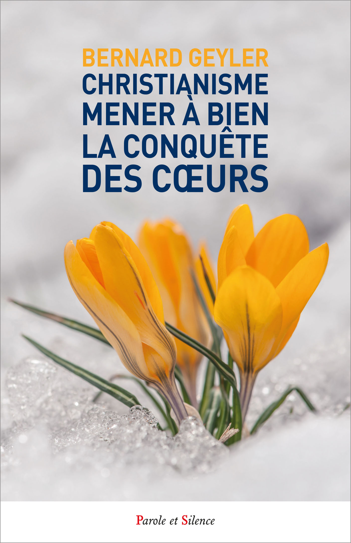 Christianisme  Mener  bien la conqute des Curs